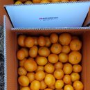 한스민박 이미지