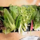 임흥수의 자연밥상 고기맛집 이미지