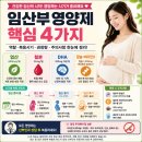 2020-600 | 임산부 영양제 완전 정리 (엽산·철분·DHA·칼슘 언제 어떻게 먹어야 하나요?)