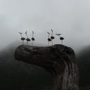 거북민박 이미지