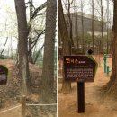 정발산공원 산책로 입구 이미지