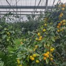 민성이네 농장 이미지