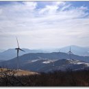 하늘목장 이미지