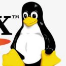 데니스테크 | 2~3주차