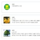 서울석촌초등학교 이미지