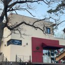 카페우내 이미지