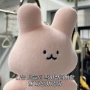 맛있는떡볶이(HiYA)히야 | 2025년 11월의 날들