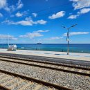 썬크루즈 호텔&리조트 이미지