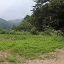 삼가리 농장 네이버블로그