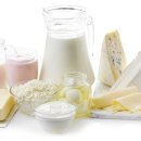 화정동물병원 이미지