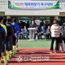 영양군 생활체육공원 축구장 이미지