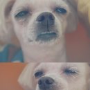 크리스탈제이드용산아이파크몰점 이미지