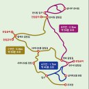 [제주] 한남사려니오름숲 탐방 이미지