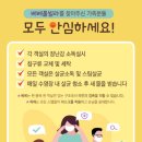 베베풀빌라 이미지