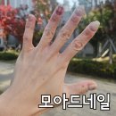 모아드 | 영통역 네일 영통 망포 트렌디한 디자인 가득 모아드 네일 후기