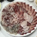 순애식당 | 포항 죽도시장 [순애회식당] 내돈내산 방문 후기