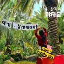 고내농장 | 제주도 애월 여행! 상가리 야자숲 위치, 주차, 입장권, 포토존