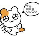 2022084 이미지