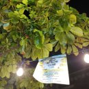 호텔 나무(Hotel Namoo) 이미지