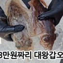 뉴해양호