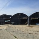 구성양계장 이미지