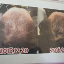 엘스의원 이미지