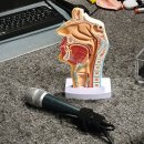 창동010 | 마산 보컬학원 원더모션, 보컬트레이닝 보컬레슨 후기