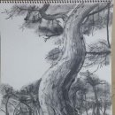 서양화 기초 이미지