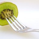 포크포크 이미지