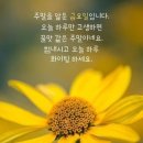 모범 납세자 건물주 이미지