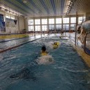 영천시종합스포츠센타 이미지