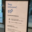 인천 현대프리미엄아울렛 송도점 주차, 카페 및 반려견동반 내돈내산 방문후기