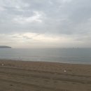 옥계해수욕장 Daum카페