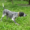 동인종합동물병원 이미지