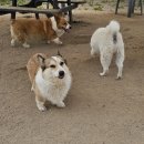 죽빵훈련소 이미지