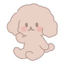 솔닭한마리칼국수 이미지