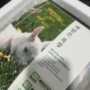 해맑은목장 | 소화 잘되는 아침 대용식, 유산양 해맑은목장 산양유 &amp; 산양유 요거트 후기 🥛