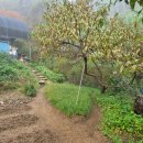 산속의 아침 이미지