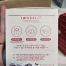 이너시아 이미지