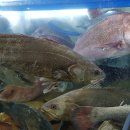 경북상회 이미지