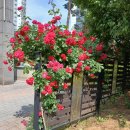 행복 100세 자산관리 내 나이에 해야할 것은- 강창희 금융인 | 노후준비, 2030부터…내 나이에 맞는 전략은