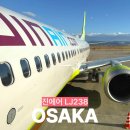 238 | 오사카 비행시간 진에어 체크인 기내식 수하물 LJ238 지연 연착 후기