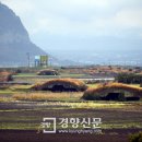 제주 셋알오름 일제동굴진지 이미지