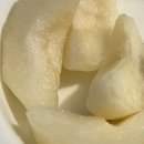 쩡토스트 이미지
