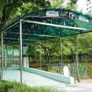 상지초교 이미지