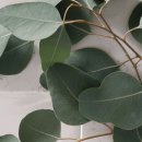 (주)허브코 이미지