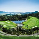 포라이즌 이미지