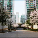 주공 1,2단지 도로 이미지