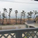 아그리나 시즌2 이미지