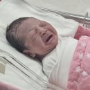 한마음의료기 - 창녕군 화왕산로 157 | 39주1일차 창원 한마음병원 산부인과 초산모 자연분만 후기 조기식 교수님